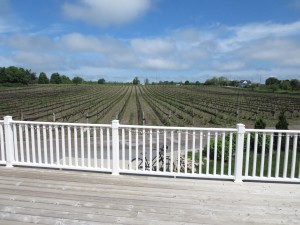 Hillier Creek Estates Damaged Crops May 2015 IMG_2951