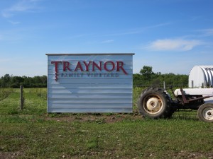 Traynor Family Vineyard IMG_3000